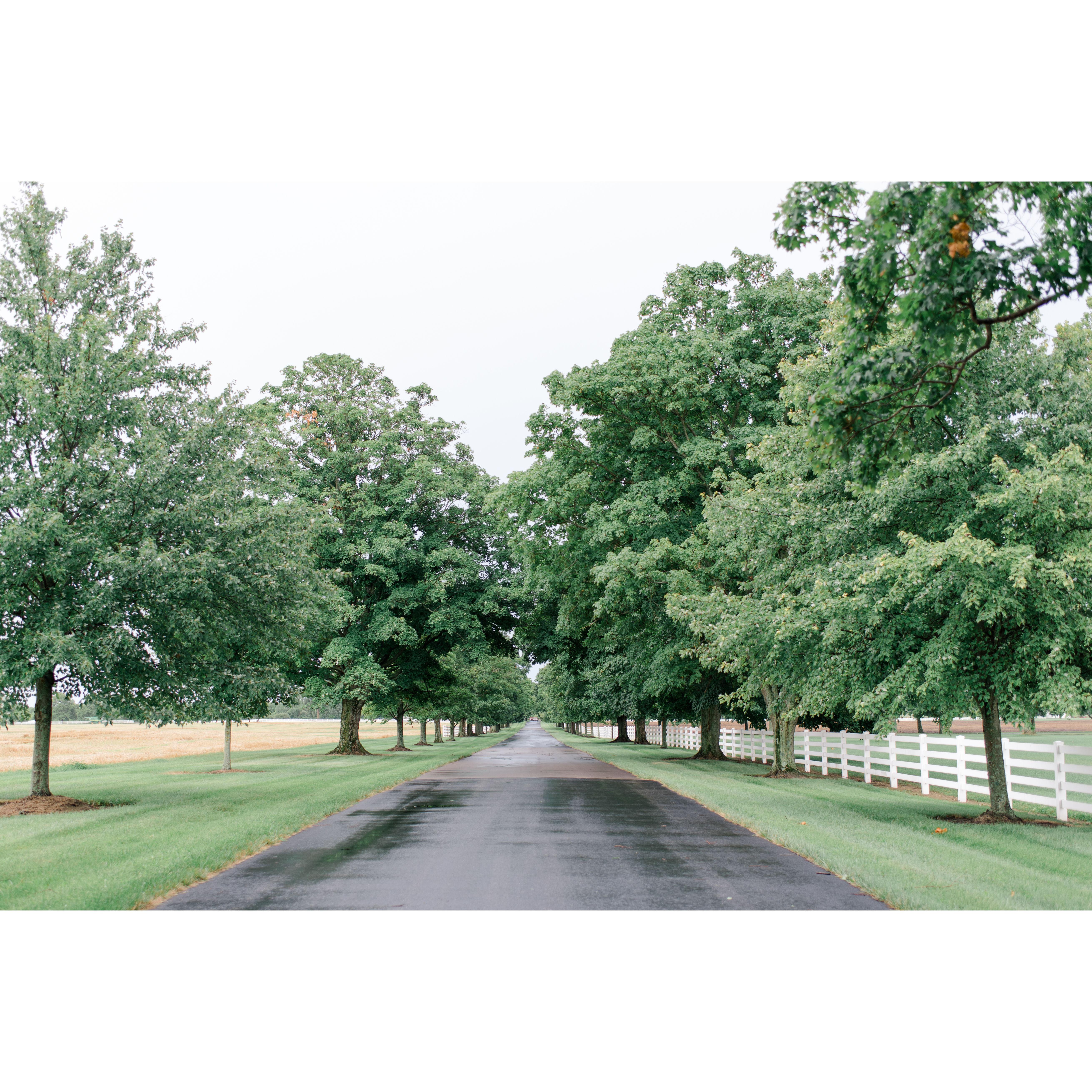 A sneak peek of the venue! Darby House is located on a private estate and the road that leads to the venue itself is one of our favorite parts. Fun fact: you might recognize this pic from the invites!