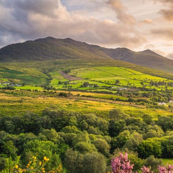 Our Ireland Honeymoon Fund