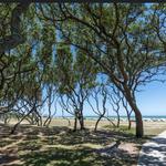 Fort Fisher
