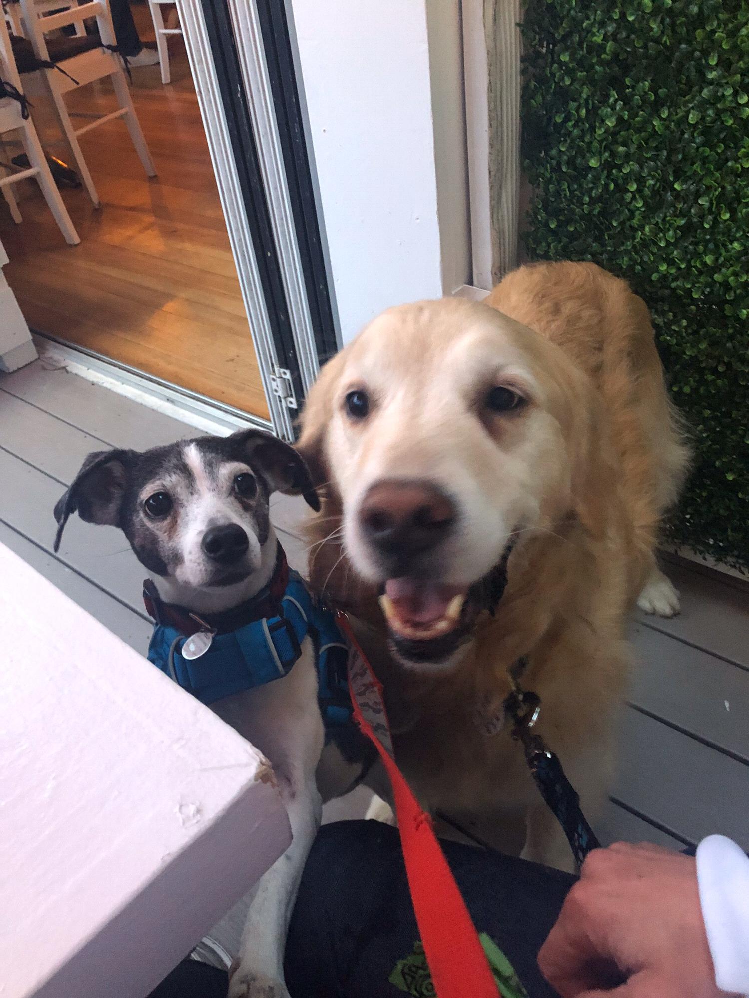 The other loves of our lives: Temba & TIlly
