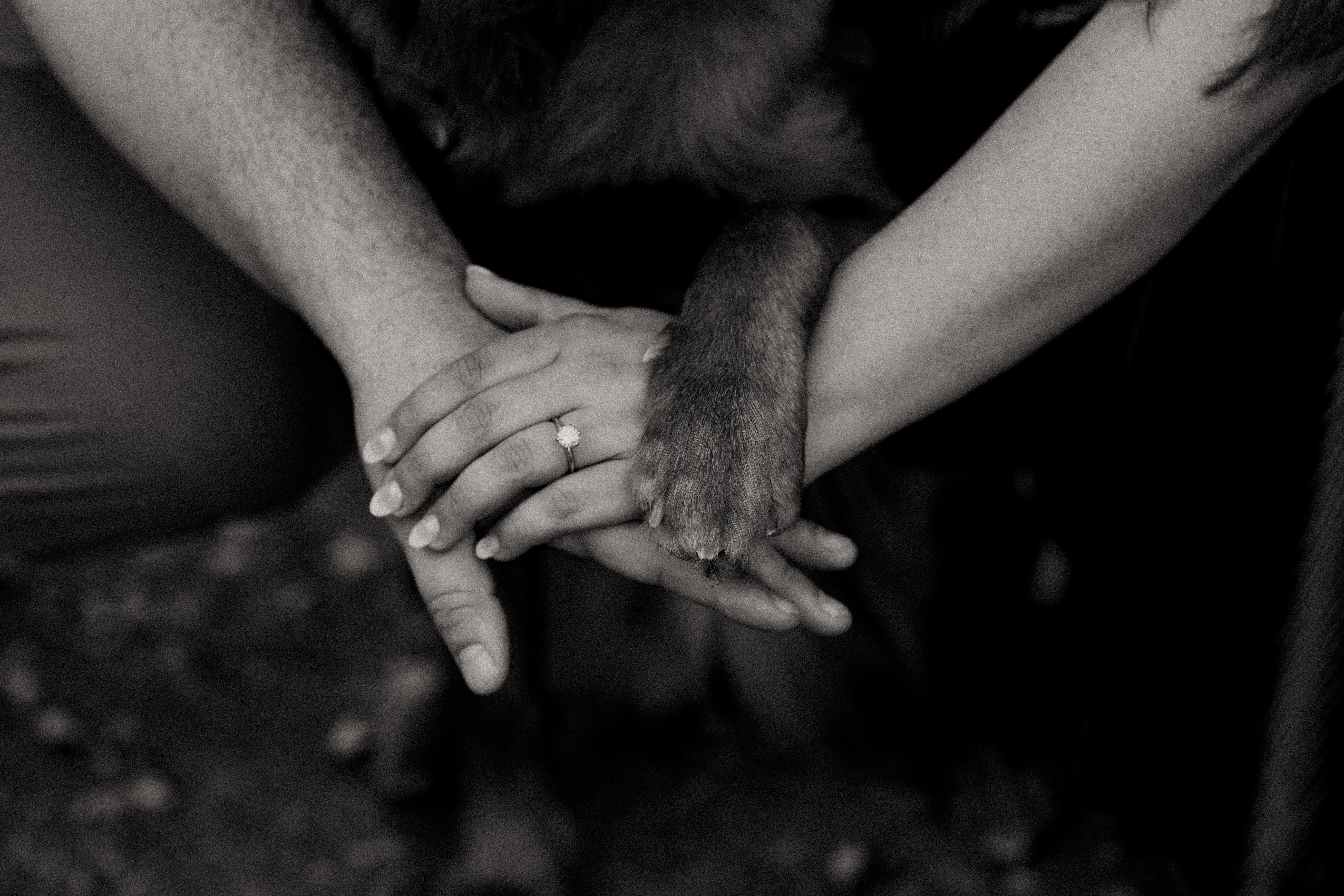 The Wedding Website of Cady Tescher and Nathan Tourtellotte