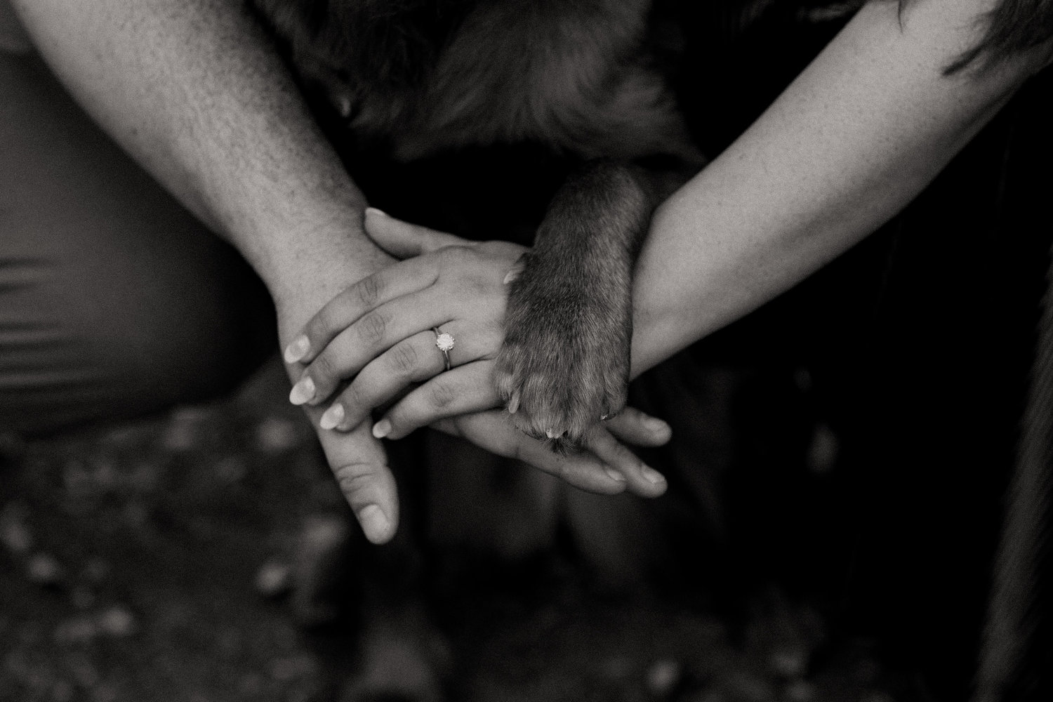 The Wedding Website of Cady Tescher and Nathan Tourtellotte