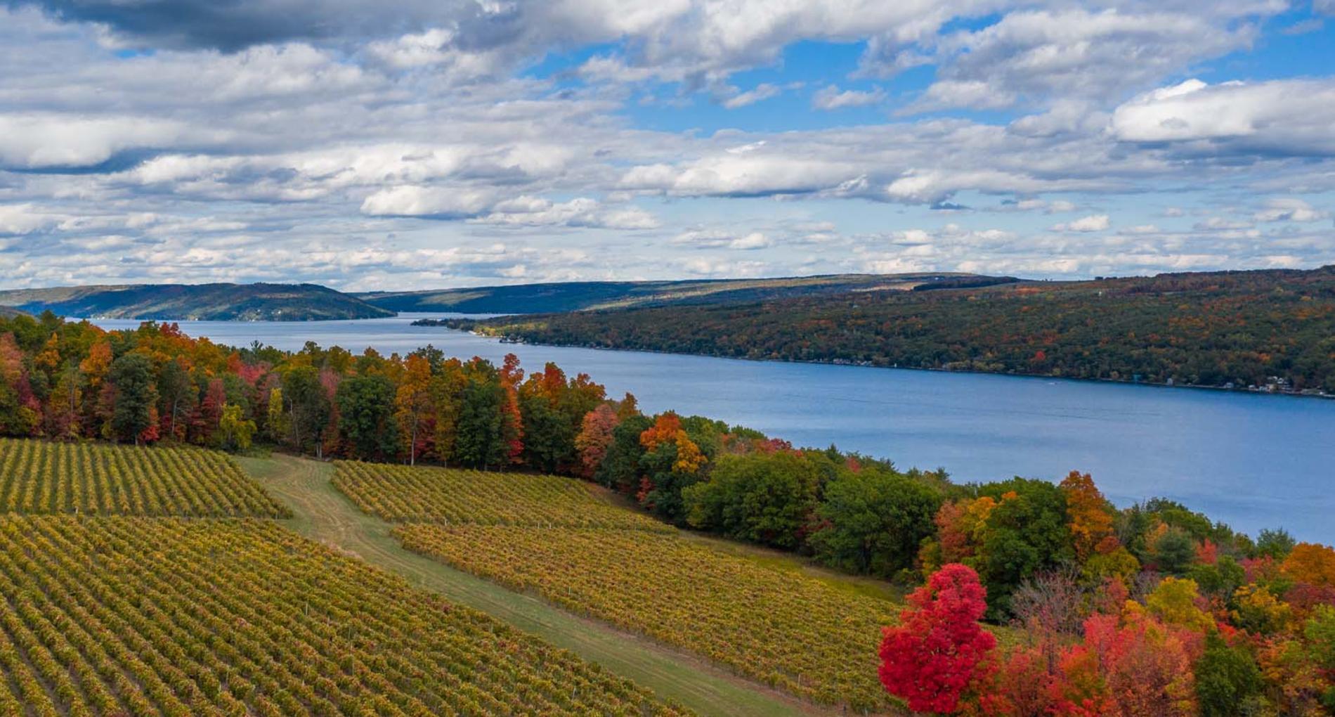 The Wedding Website of Kayla F and Matt Hammer