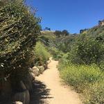 Ventura Botanical Gardens