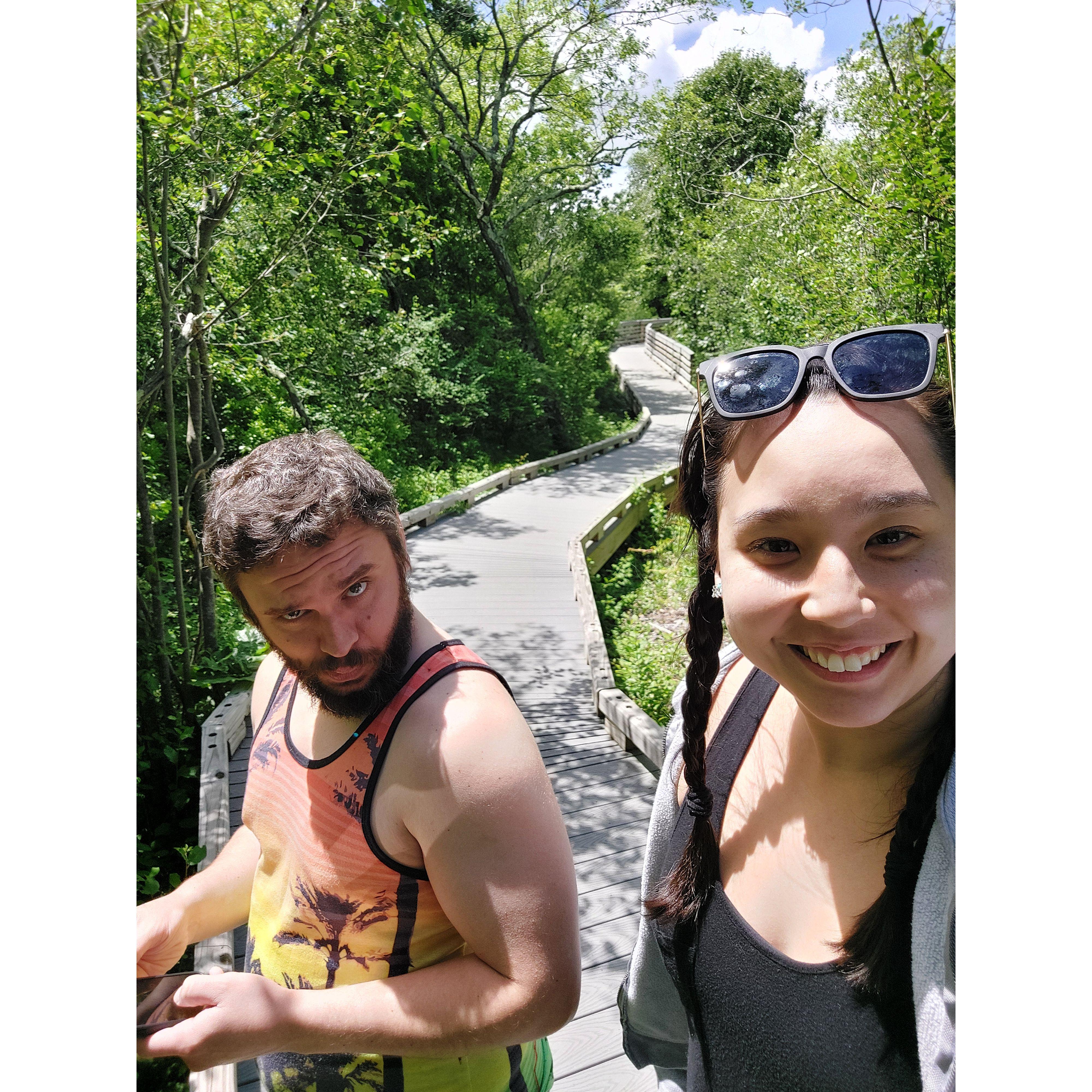 Cool boardwalk in some marshland