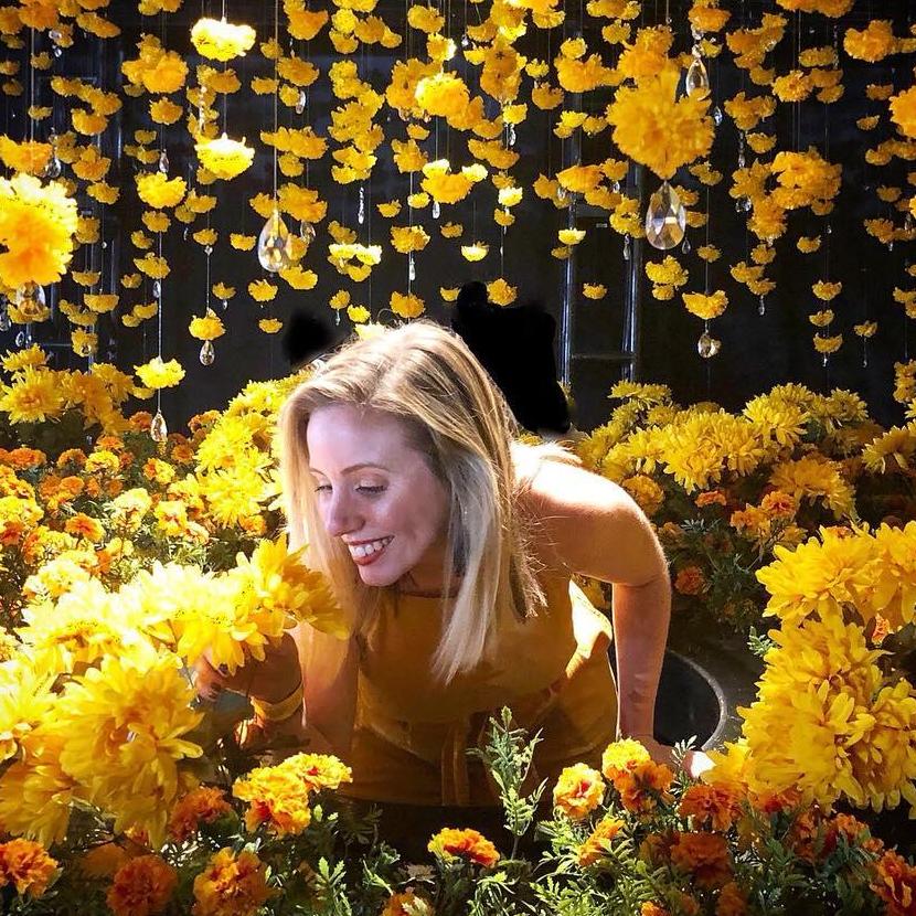 Casey sunshine
