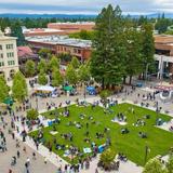 Downtown Santa Rosa