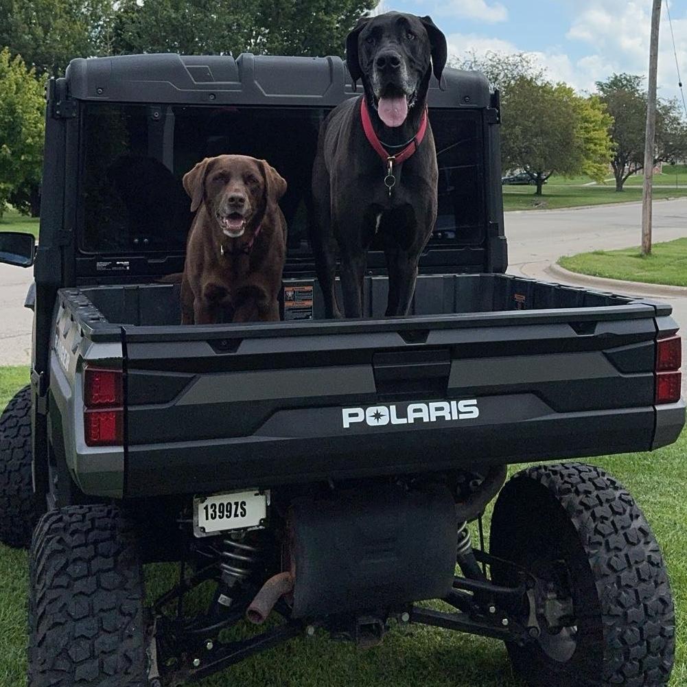 Year's Supply Of Pet Treats