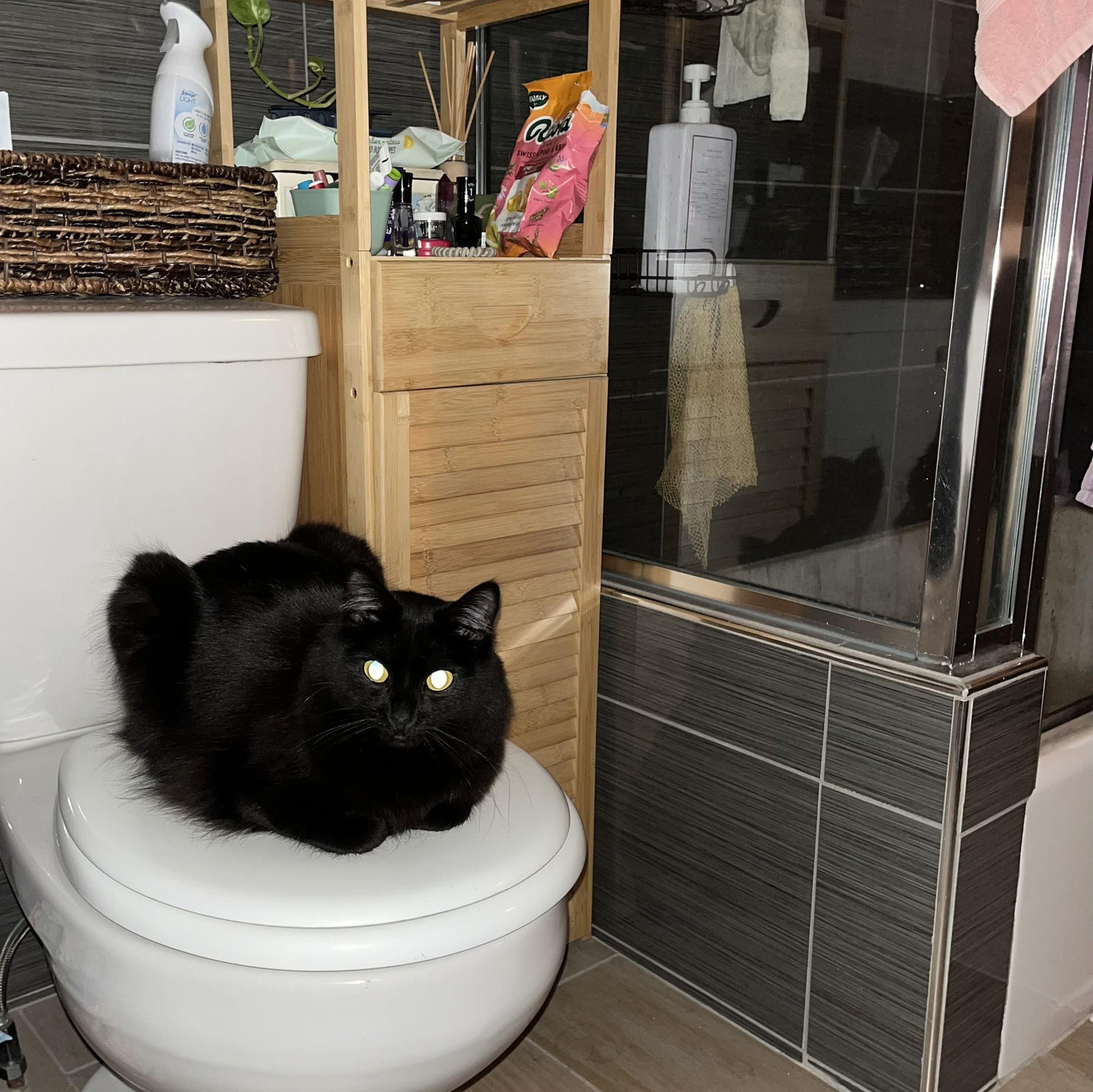 Bathroom break