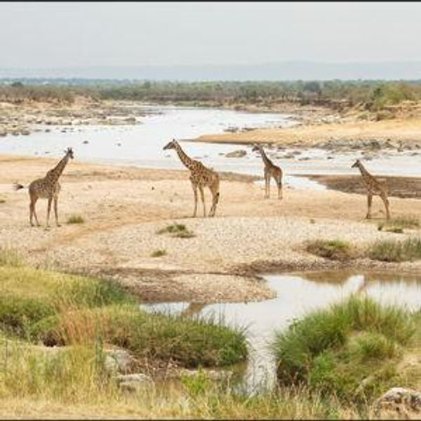 3 Day Safari at Northern Serengeti