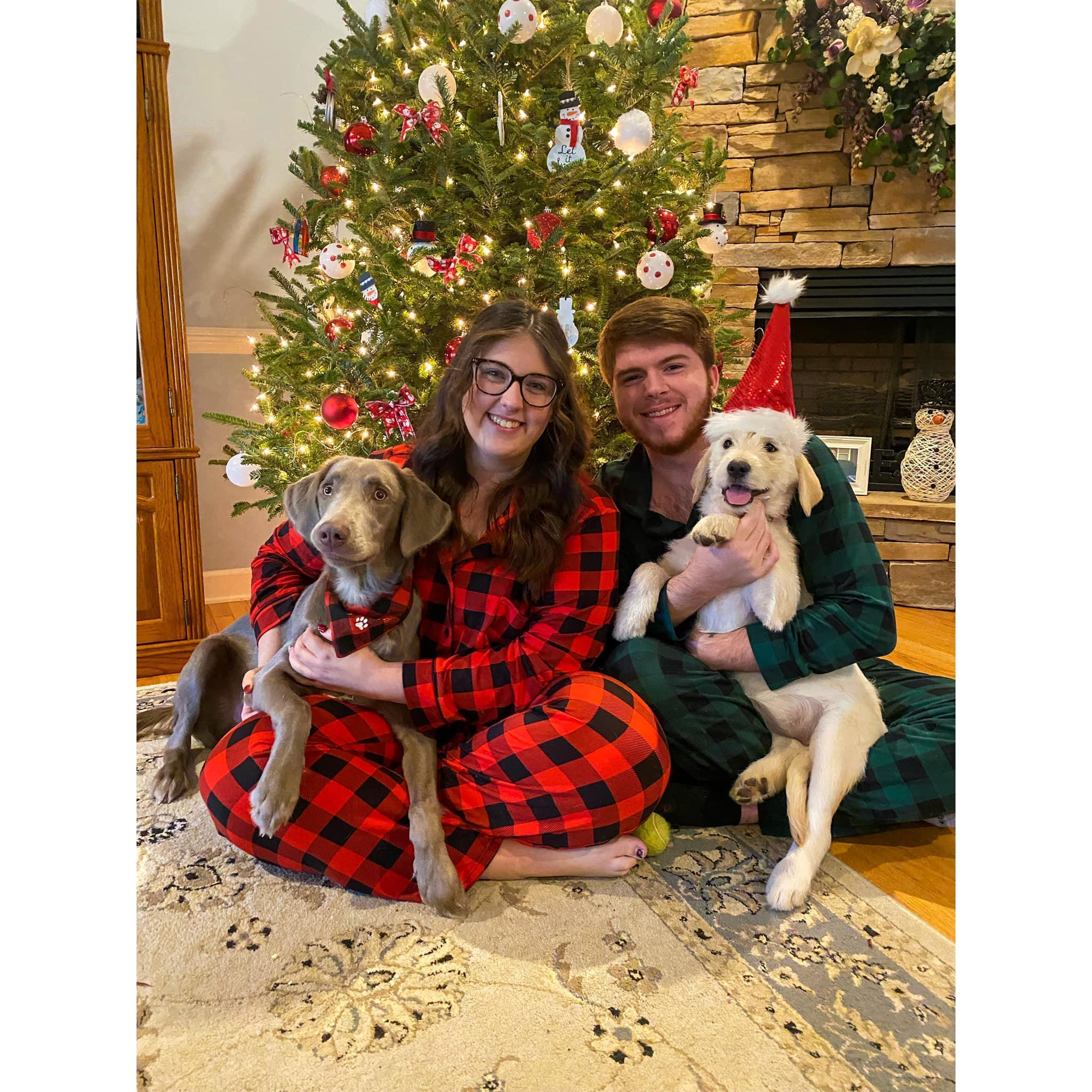 Our first Christmas with our fur babies!
