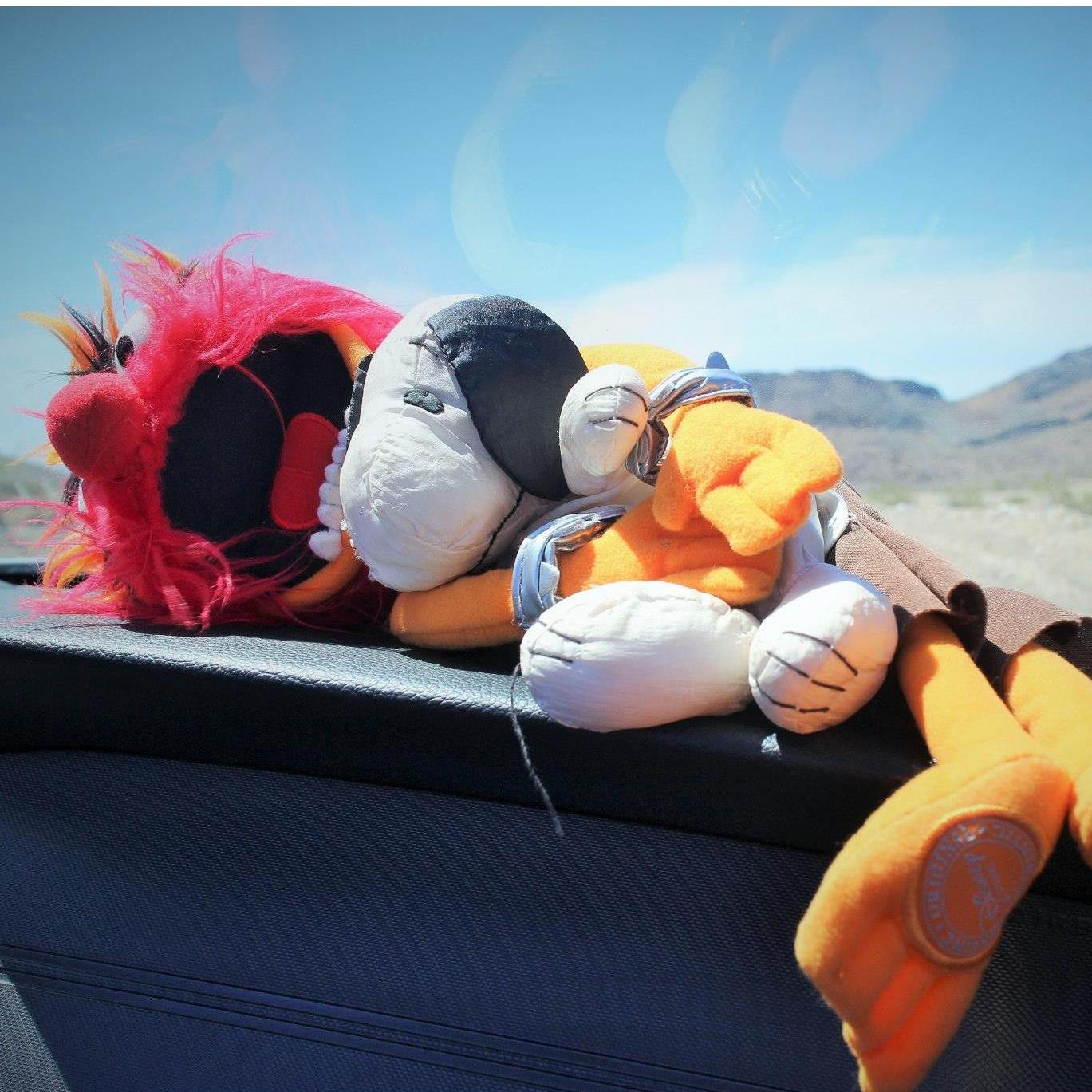 The journey of Snoopy and DANimal :)
As everyone knows, one of us is a huge fan of Snoopy. We found this Animal stuffed toy at Disney store on our first trip to New York, and we've had it since then!