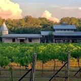 Winery on the Gruene