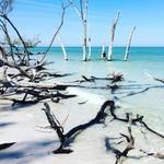 Happy Paddler Kayak Tours & EcoVentures