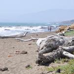 Moonstone Beach