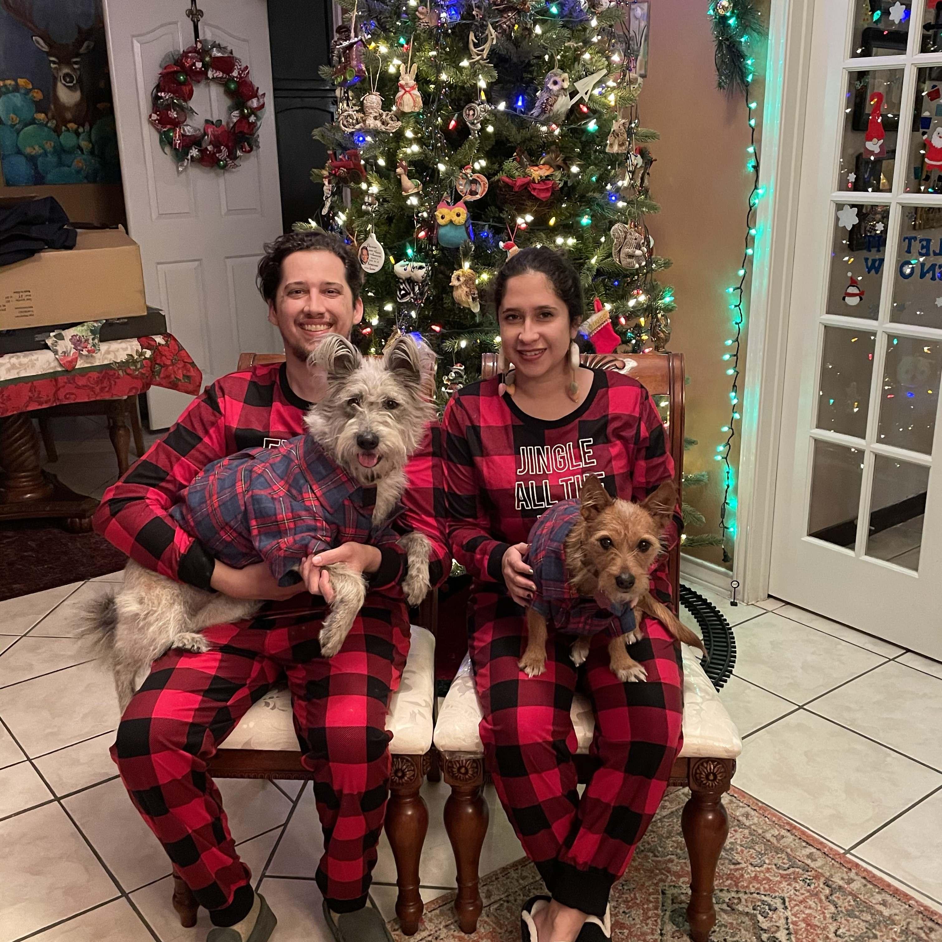 Christmas Family Photo