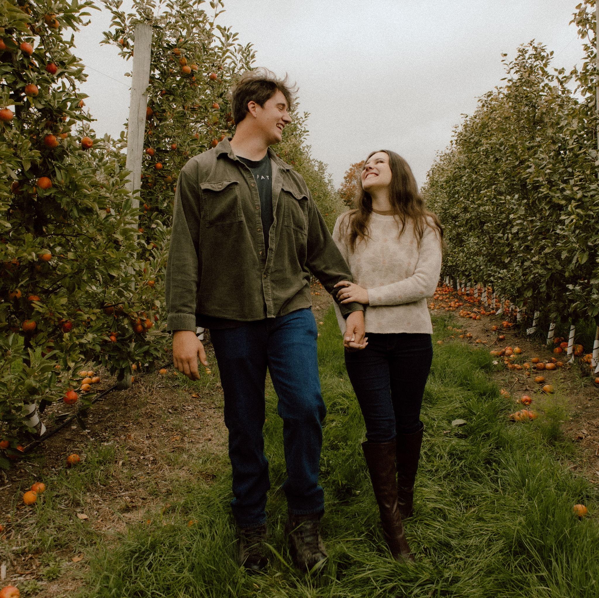 Walking through the apple orchard