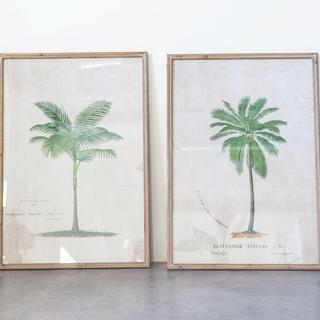 Palm Tree Wood Frame 2-Piece Wall Art Set
