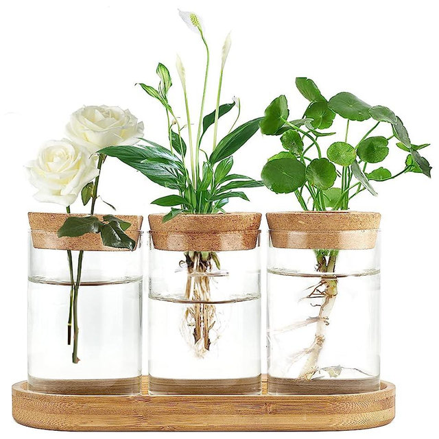 Dahey Plant Propagation Terrarium Desktop Glass Planter Station Water Planting Glass Vase with Lid and Wooden Stand for Propagating Hydroponic Plants Centerpiece Office Home Garden Decor, 3 Pcs