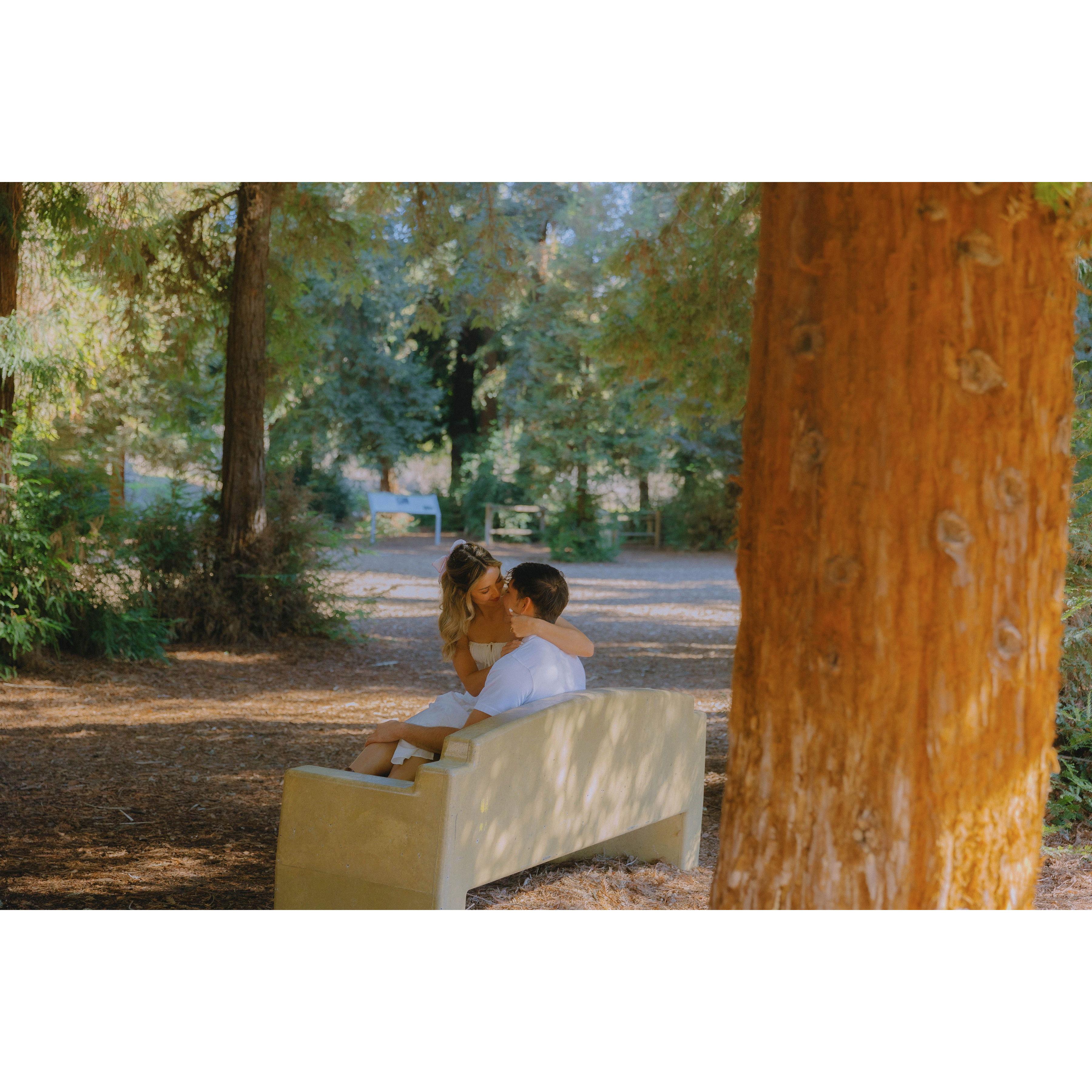 Engagement Shoot