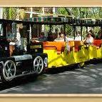 Key West Tours- Conch Tour Train