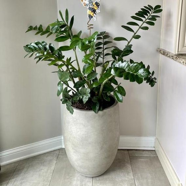 Sapcrete 22"H Concrete Garden Flower Pots, Modern Round Lightweight Planters with Drainage Hole for Outdoor/Indoor, Weathered SA0066A-P8021-2