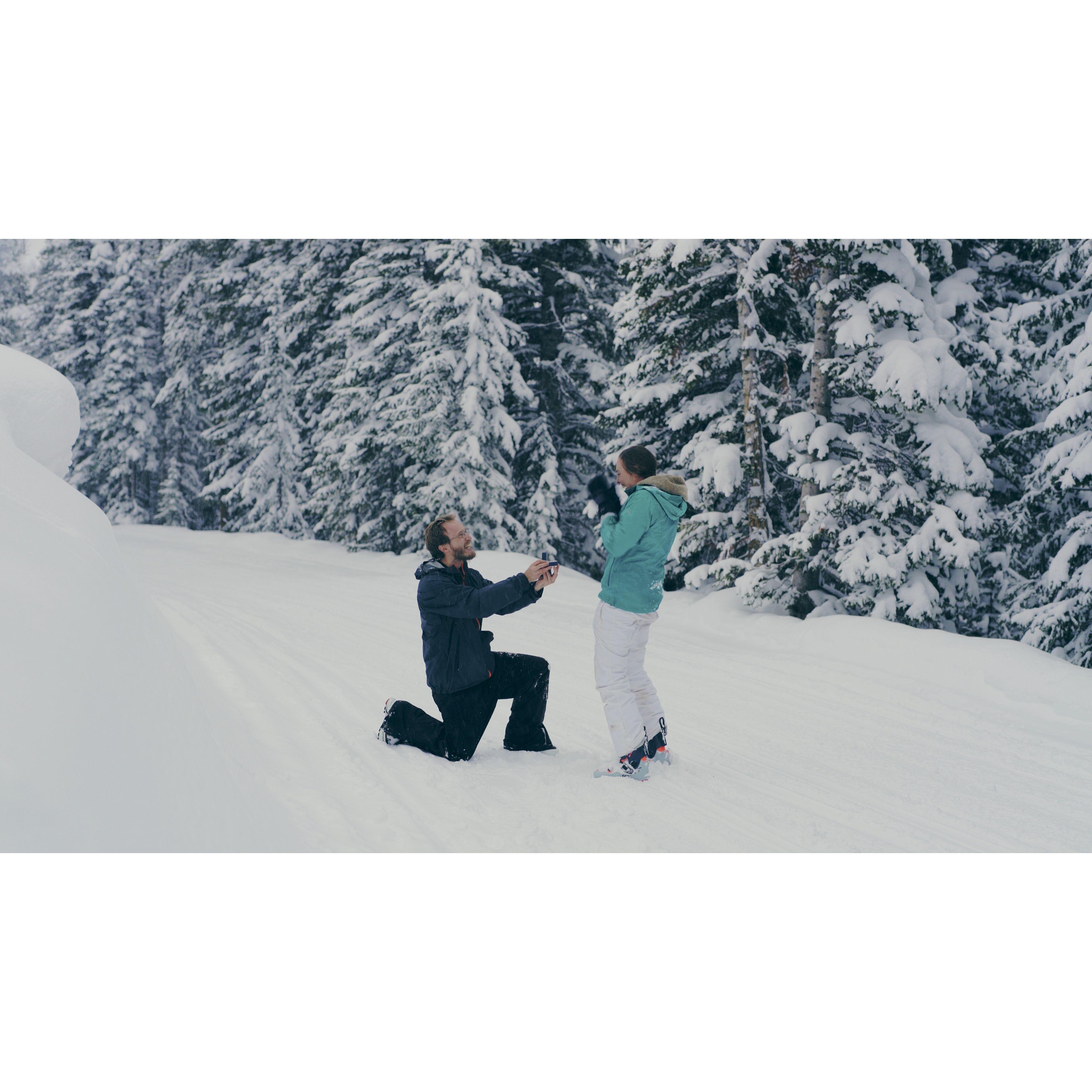 Feb 15: SHE SAID YES!