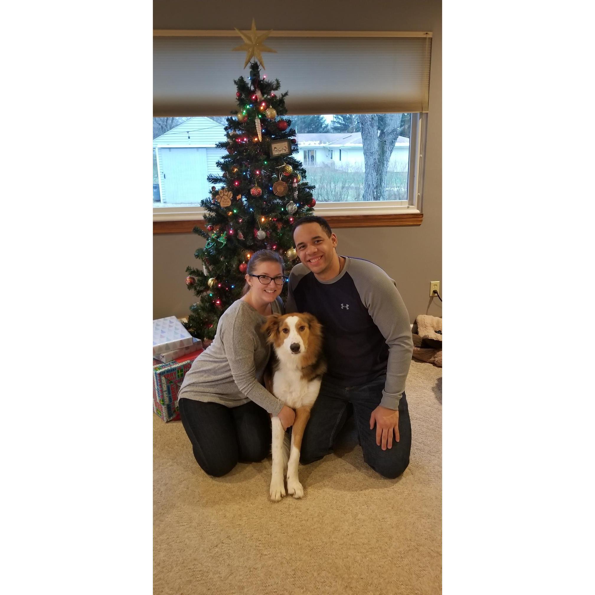 Dexter’s first Christmas