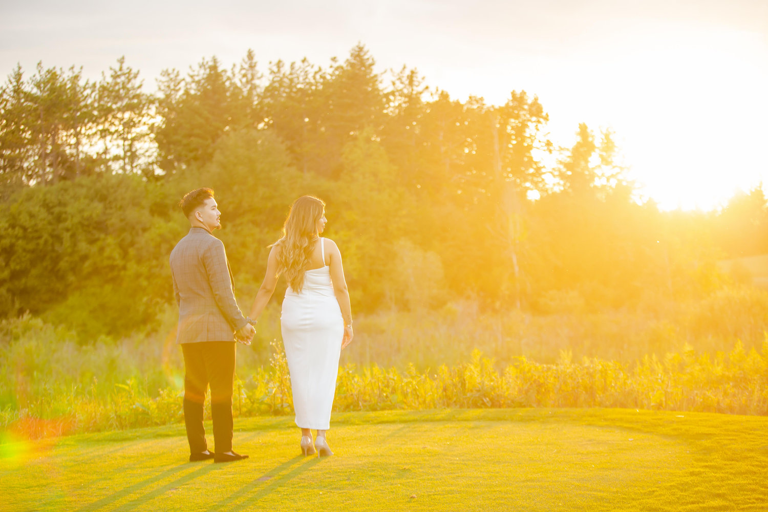 The Wedding Website of Zain Amyn Noorani and Ahmad Roman Sultani