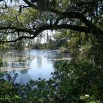 Airlie Gardens