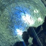 Ripley's Aquarium of Canada