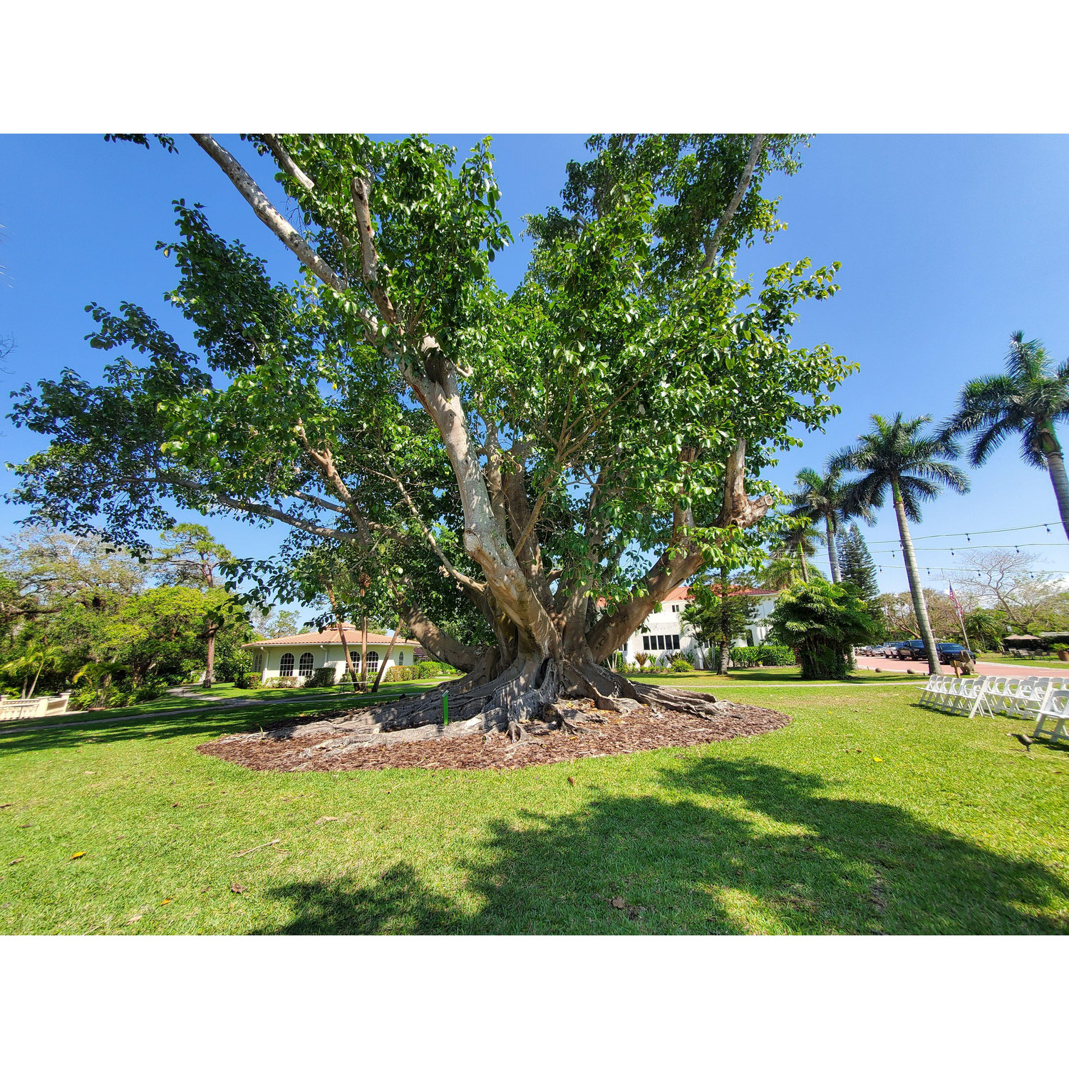 Shangri-La Springs, Bonita Springs, FL