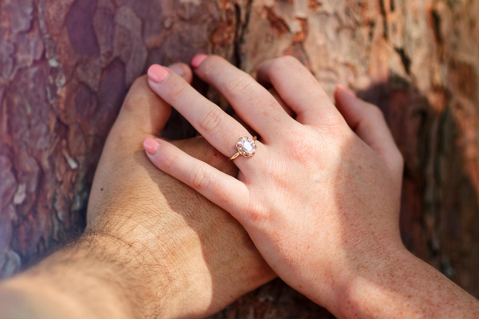 The Wedding Website of Kaitlyn Nannestad and Alec Nannestad