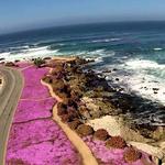 Ocean View Boulevard