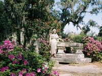 Bonaventure Cemetery
