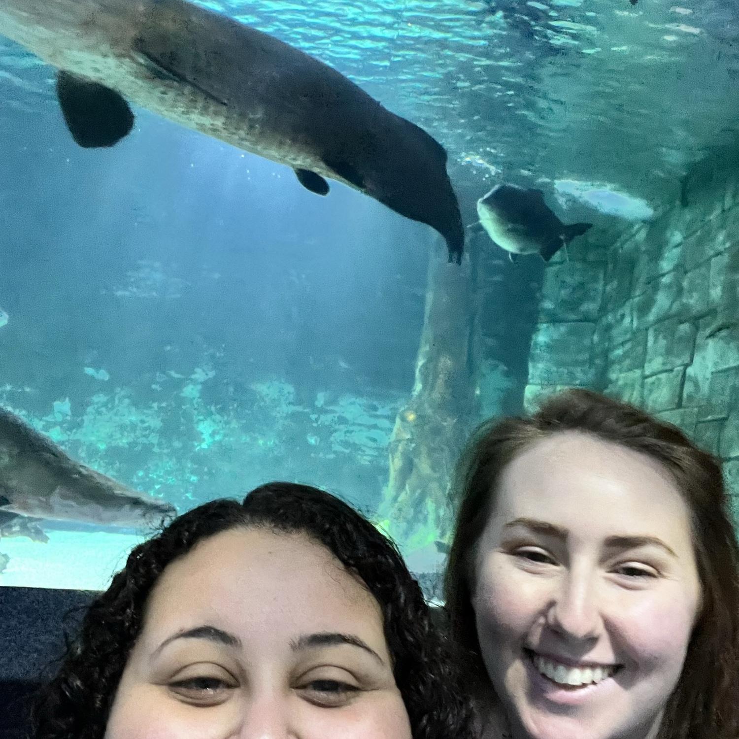 Newport Aquarium (2023)