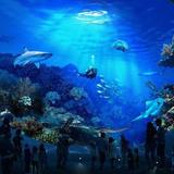 Seattle Aquarium