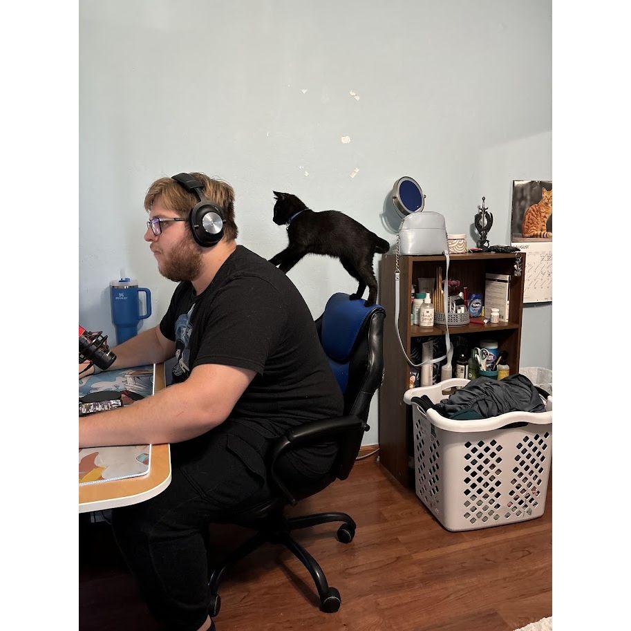 When we first got our children, Cookie and Cream. Cookie still climbs his chair to this day. His $700 gaming chair. They both love it...