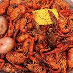 Louisiana Crawfish Time