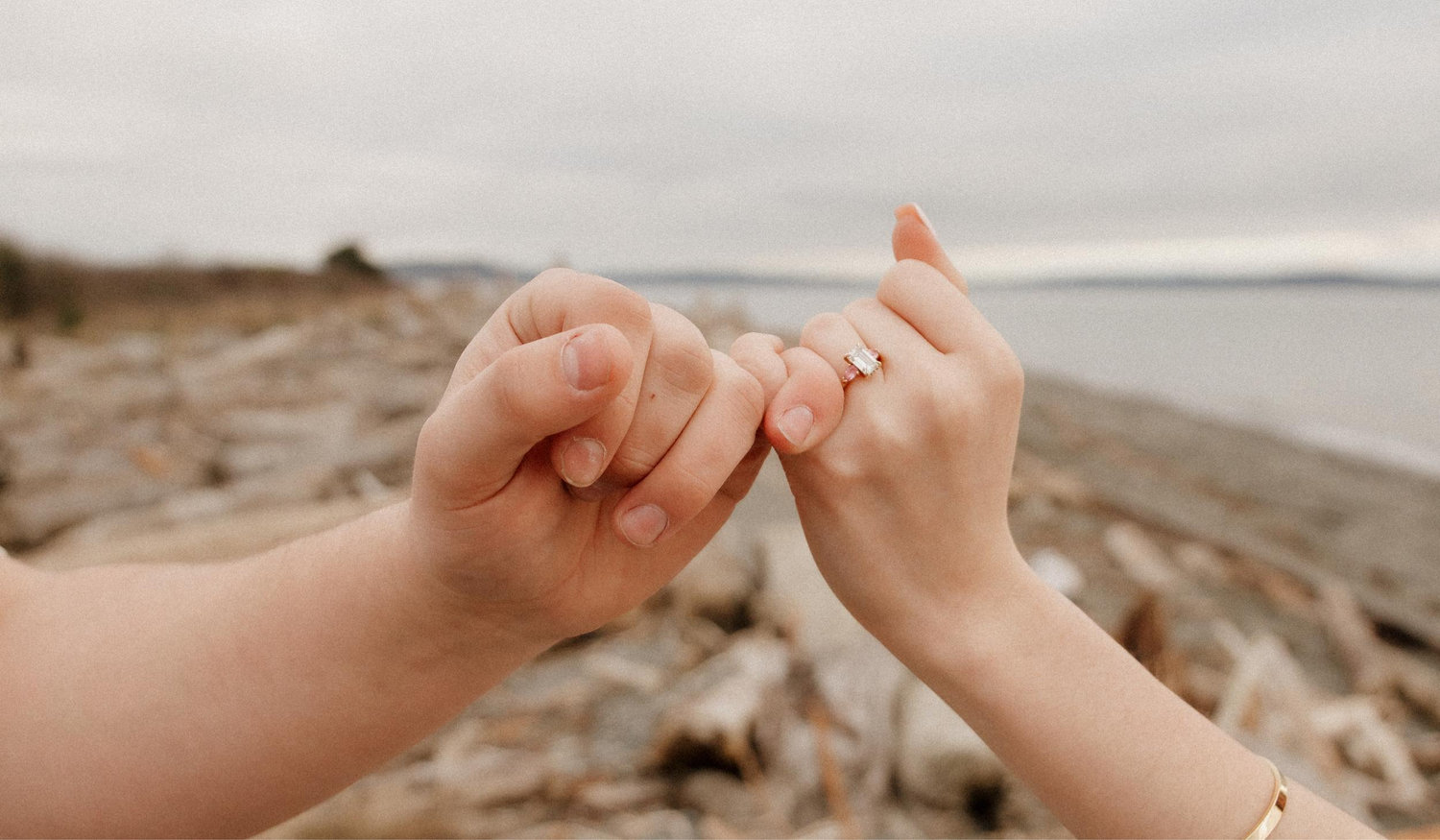 The Wedding Website of Elizabeth Sweet and Noah McDaniel