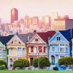 Painted Ladies & Blue Painted Lady Tour