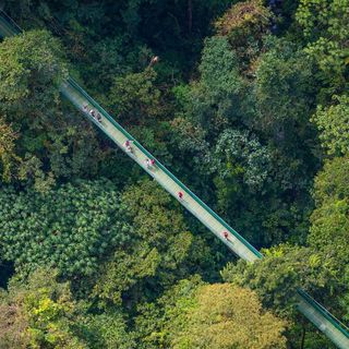 Sky Walk Arenal for 2