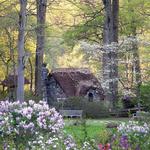 Winterthur Museum, Garden and Library