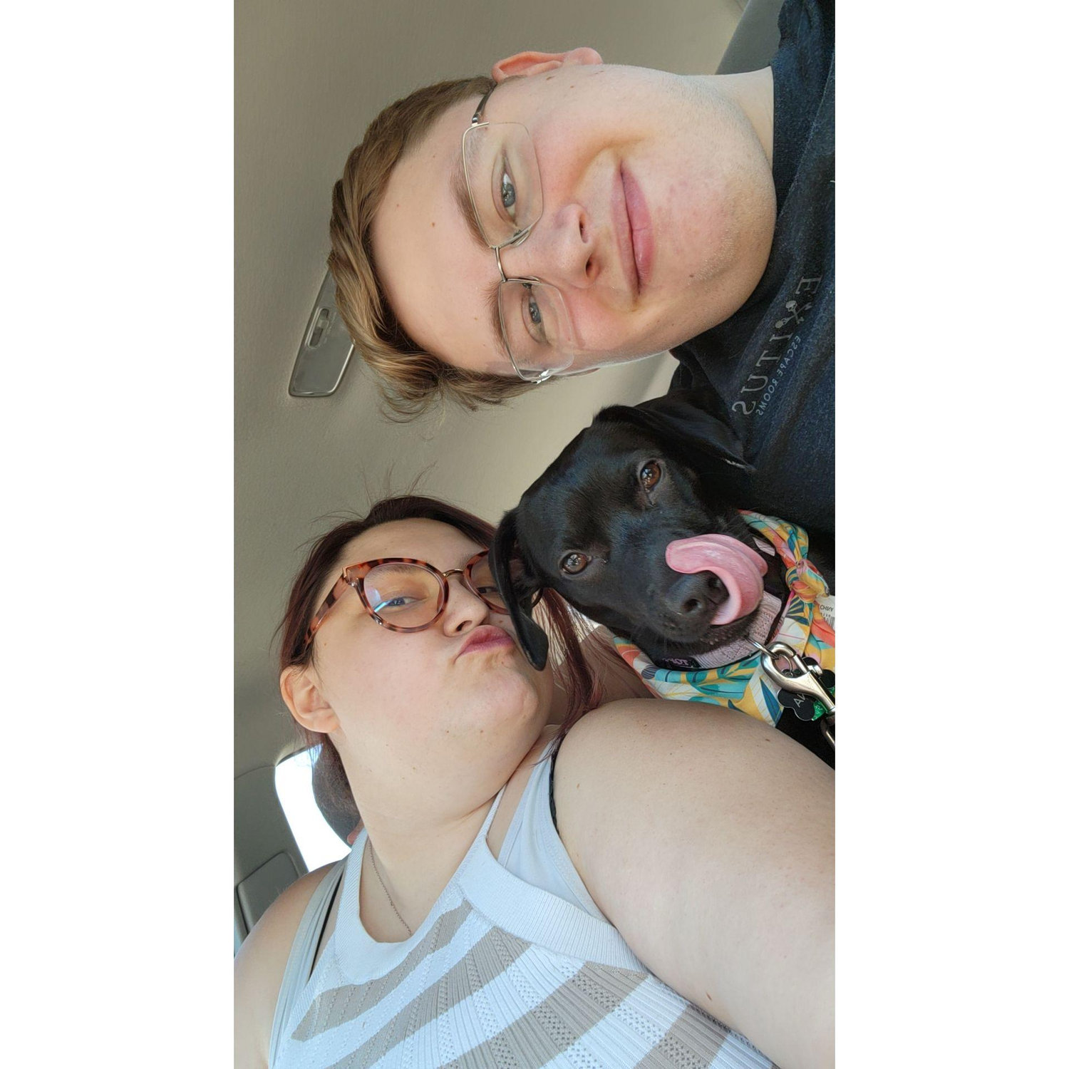 Good "Lickin'" Fun