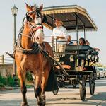 Charleston Carriage Tours