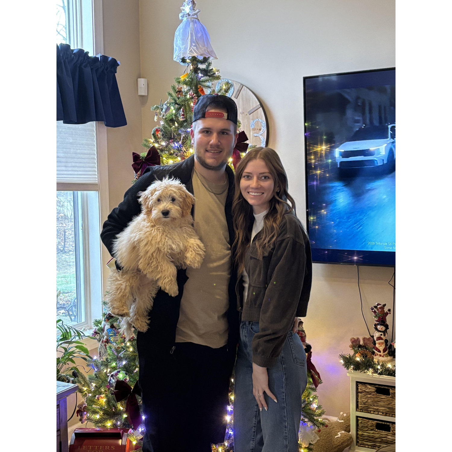 Getting our first dog, Hazel