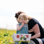 Kelder's Farm
