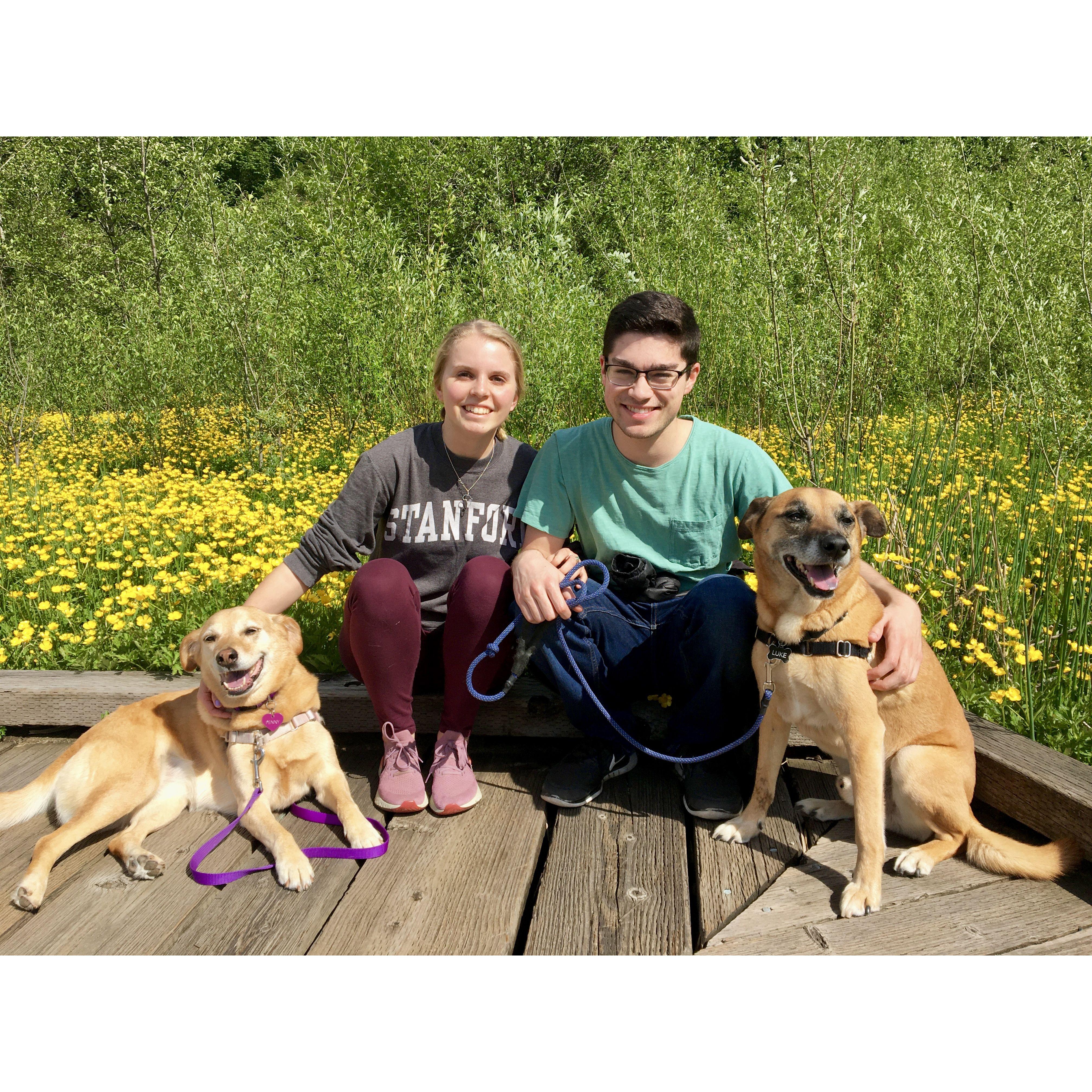 One of many pandemic walks with Penny and Luke