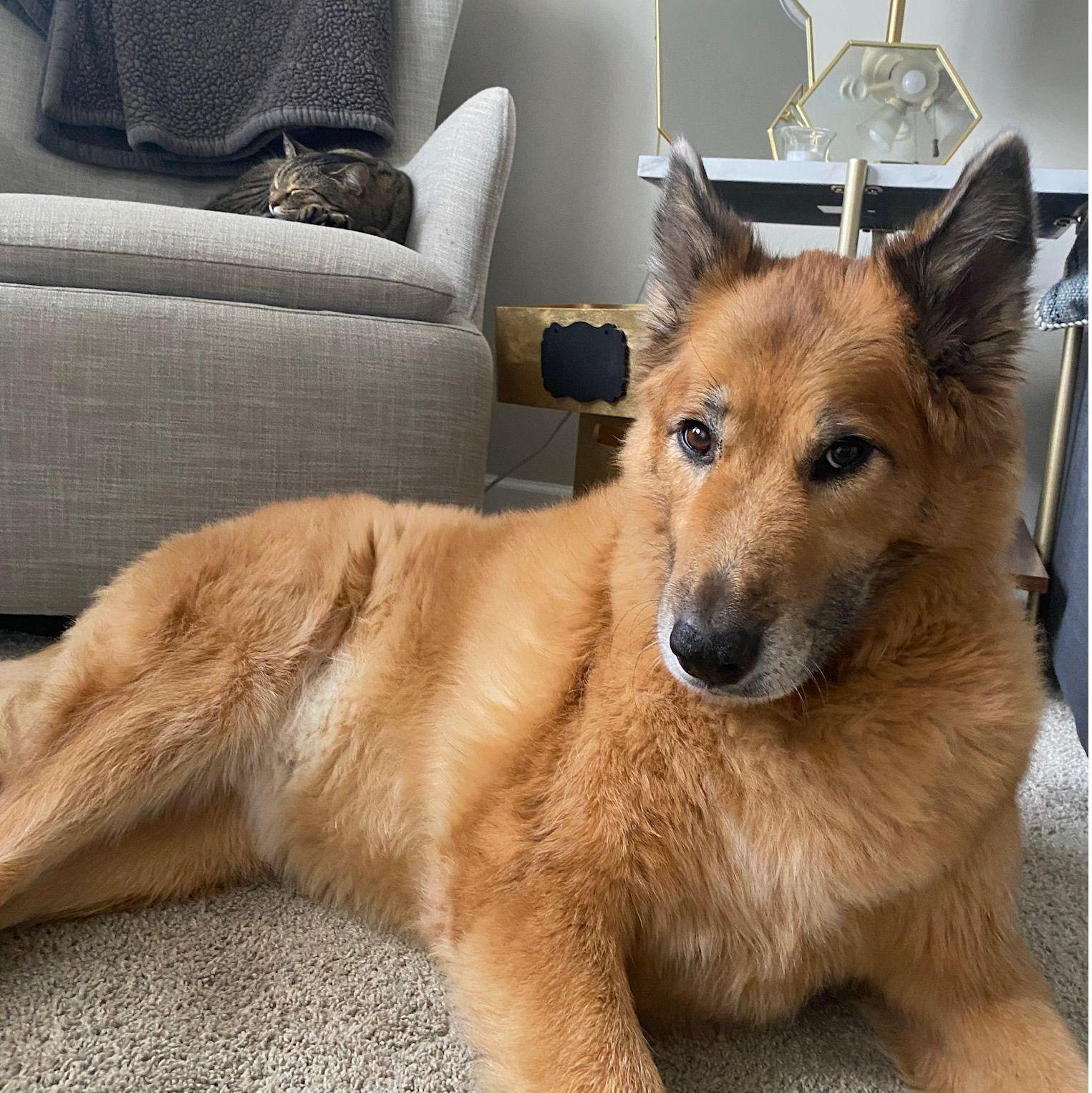 Alana and Lola settling into our new home