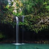 Twin Falls Maui